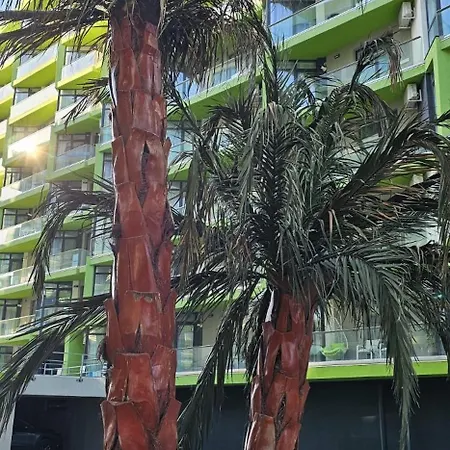 Luxury & Cu Piscina Interioara Incalzita Gym